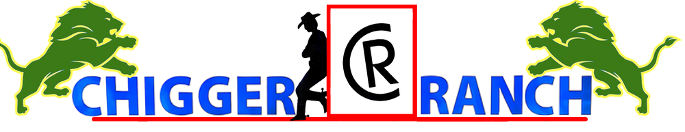 Chigger Ranch Award Logo